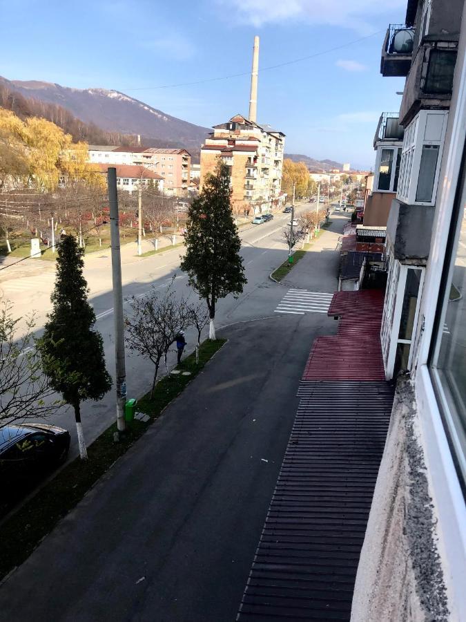 La Symo Apartament Straja Lupeni Lupeni  Eksteriør billede