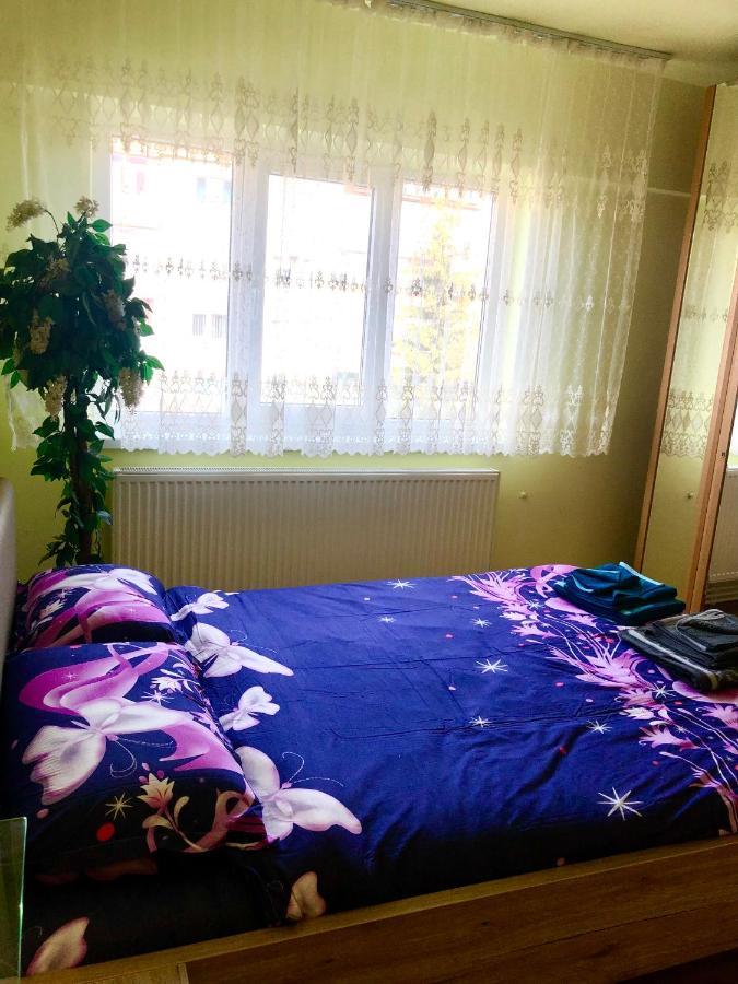 La Symo Apartament Straja Lupeni Lupeni  Eksteriør billede