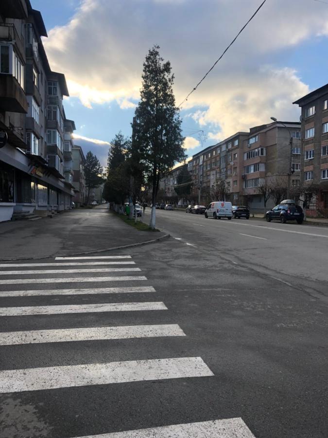 La Symo Apartament Straja Lupeni Lupeni  Eksteriør billede