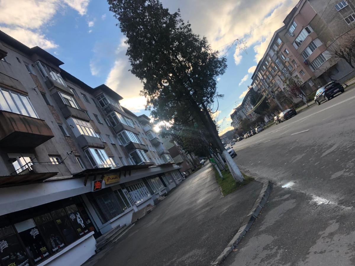 La Symo Apartament Straja Lupeni Lupeni  Eksteriør billede